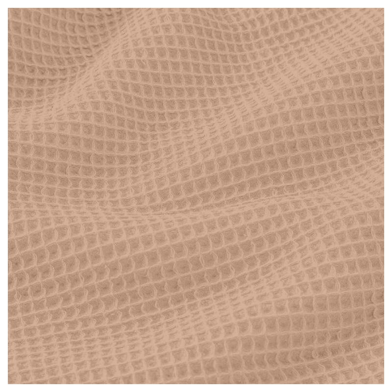Honeycomb Skin